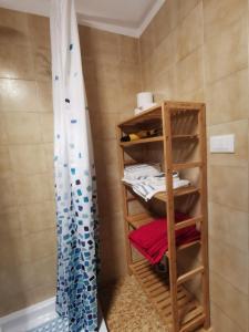 SovramonteTiny House Dolomiti的浴室设有木制架子和淋浴帘