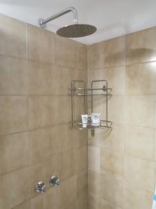 SovramonteTiny House Dolomiti的带淋浴喷头的浴室