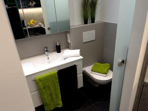 菲拉赫City Appartements Villach的一间带水槽、卫生间和镜子的浴室