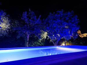 奥托纳Relais tra gli Ulivi的夜晚的游泳池,绿树成荫,灯光蓝色