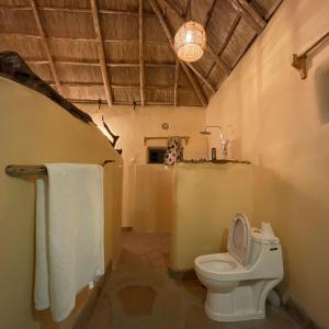 马赛马拉Olaloi Mara Camp的一间带卫生间和水槽的浴室