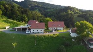 洛伊查赫Hopfenhof的享有山景的房屋的空中景致