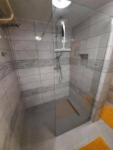 维尼察Sun river Kolpa AP1的浴室里设有玻璃门淋浴
