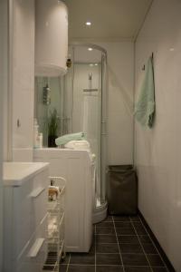 奥勒松Light Sentral Apartment Ålesund的带淋浴和卫生间的白色浴室