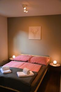 MattenMayers Swiss House, private home for 2-6 guests的一间卧室配有一张床,上面有两条毛巾