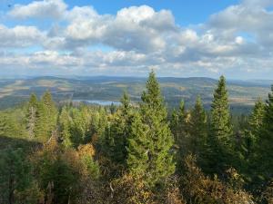 索特Näköalahuoneisto 426的树木和湖泊的空中景色