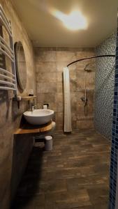 阿哈尔齐赫ART Chalet的一间带水槽和淋浴的浴室