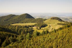 弗拉斯多夫STUBN in der Frasdorfer Hütte的从山顶的树木上欣赏美景