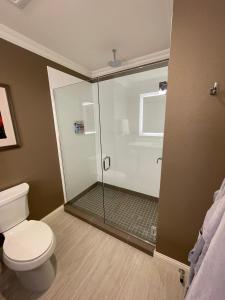 安娜柯蒂斯莫扎迪斯酒店及Spa的一间带卫生间和玻璃淋浴间的浴室