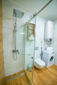诺维萨德Kedar apartment的带淋浴、卫生间和盥洗盆的浴室
