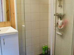 内斯比恩Holiday home NESBYEN II的带淋浴的浴室和玻璃门