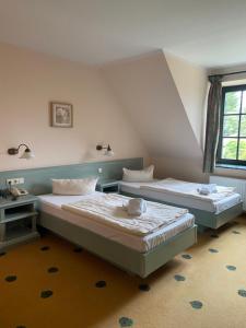Gotthun格鲁纳鲍姆穆利兹乡村酒店的客房设有两张床和窗户。