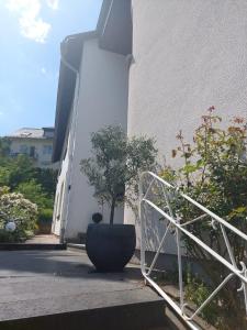 科赫姆费尔希哈斯阿曼若斯巴哈度假酒店的坐在大楼旁边的一个大黑锅