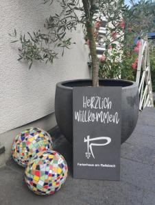 科赫姆费尔希哈斯阿曼若斯巴哈度假酒店的两球旁的盆子上一棵盆子