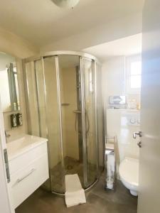 沃尔特湖畔佩莎赫阿斯托利亚酒店的带淋浴和卫生间的浴室