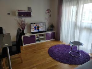 瓦拉日丁A romantic getaway in Varaždin的客厅配有紫色地毯和电视