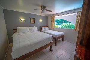 奎波斯城Lovely Condo near monkey habitat and beach的一间卧室设有两张床和窗户。