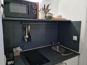 斯特拉斯堡Studio La Lanterne的厨房柜台设有水槽和微波炉