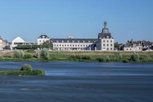 布鲁瓦Fleur de Loire的享有河流的景色,建筑背景