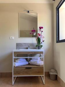 圣温琴佐Agriturismo SS Annunziata的浴室配有盥洗盆、镜子和毛巾