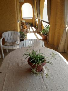 圣卡塔林纳Camere o appartamento intero in locazione in Pittinuri的上面有盆栽的白色桌子