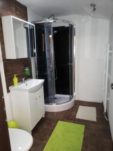 普列维扎Penzión u Coľa的带淋浴、盥洗盆和卫生间的浴室