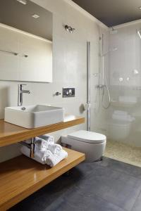 吉塔里亚Hotel Rural Gaintza的一间带水槽、卫生间和淋浴的浴室