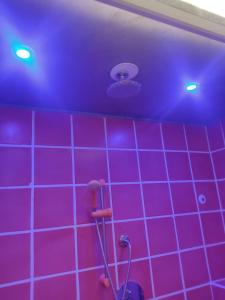 卡塔尼亚Elvis - Marilyn - Vasco Rossi - Airport Catania Center的浴室设有紫色瓷砖墙壁和紫色天花板
