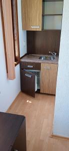 阿赫洛伊Guest House Hristovi的一个带水槽和木地板的小厨房