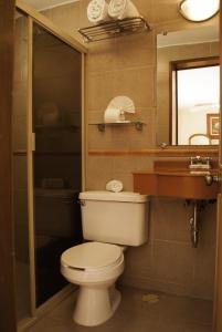 坎佩切坎佩切玛雅酒店的一间带卫生间、水槽和镜子的浴室