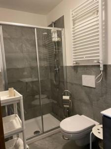 博尔米奥Appartamento trilocale luxory,sulle piste da sci的带淋浴和卫生间的浴室
