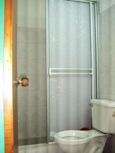 比亚维森西奥Hotel Arpa de Aguas的一间带卫生间和玻璃淋浴间的浴室