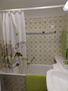 阿斯科纳Sollevante Ascona的带淋浴帘和卫生间的浴室