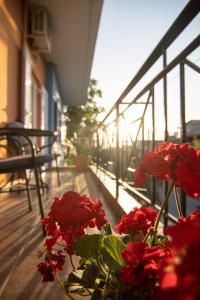 卡梅纳维洛拉茨厄托斯公寓的阳台上装满红花的花瓶