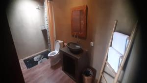 乌布Ayu Guesthouse Ubud的一间带卫生间和水槽的浴室