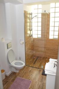 苏利纳Vila Siena的一间带卫生间和玻璃淋浴间的浴室