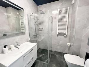 弗罗茨瓦夫Dream4You Apartments的带淋浴、盥洗盆和卫生间的浴室