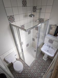 MyansGîte de Myans的带淋浴、卫生间和盥洗盆的浴室