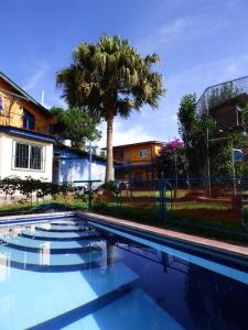 下博克特Toopas的一座棕榈树和房子的游泳池
