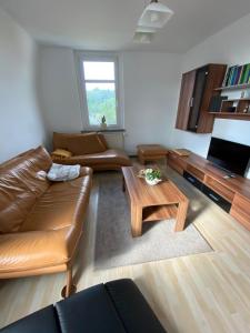 利希滕斯泰因Geräumige Ferienwohnung im Grünen的客厅配有真皮沙发和茶几