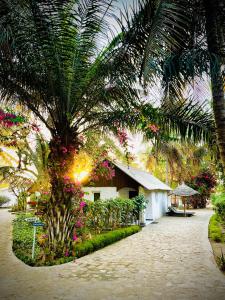 图利亚拉CHEZ ALAIN的棕榈树和建筑的度假村