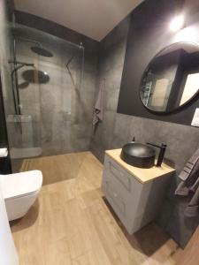 BukAparthotel - Buk的一间带卫生间、水槽和镜子的浴室