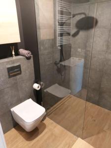 BukAparthotel - Buk的一间带卫生间和玻璃淋浴间的浴室
