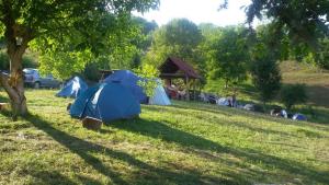 古察Camp Panorama的一群帐篷坐在树下的草丛中