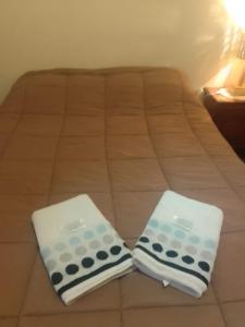 PayogastaAmancay的床上有2个枕头