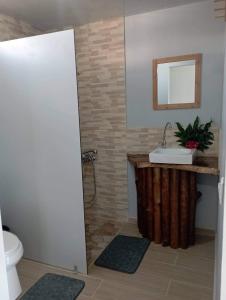 阿瓦托鲁Rangi Pearl Lodge的一间带水槽和镜子的浴室