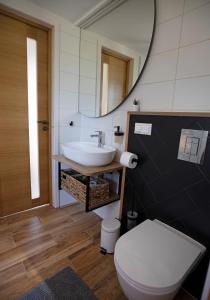VeismaņiOH DEER holiday house的一间带水槽、卫生间和镜子的浴室