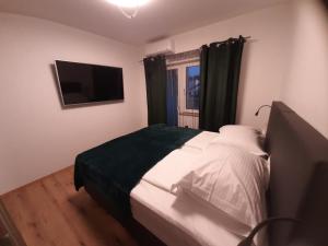 洛帕Apartman Mate Lopar的一间卧室配有一张床、一台电视和一个窗口