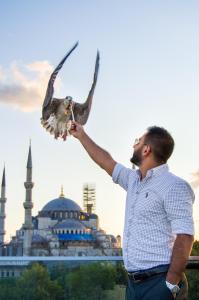 伊斯坦布尔Sarnic Premier Hotel的在一个清真寺前抱着鸟的人