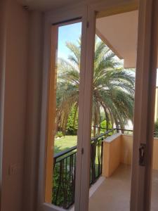 菲纳莱利古雷Casa di Kiki的通往棕榈树阳台的门